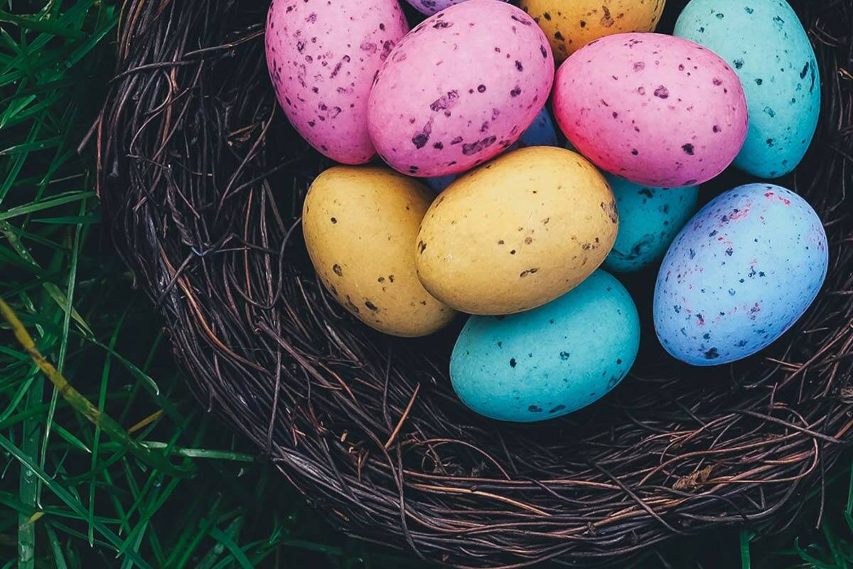 Ein Osterkorb gefüllt mit bunten Eiern auf einer grünen Wiese