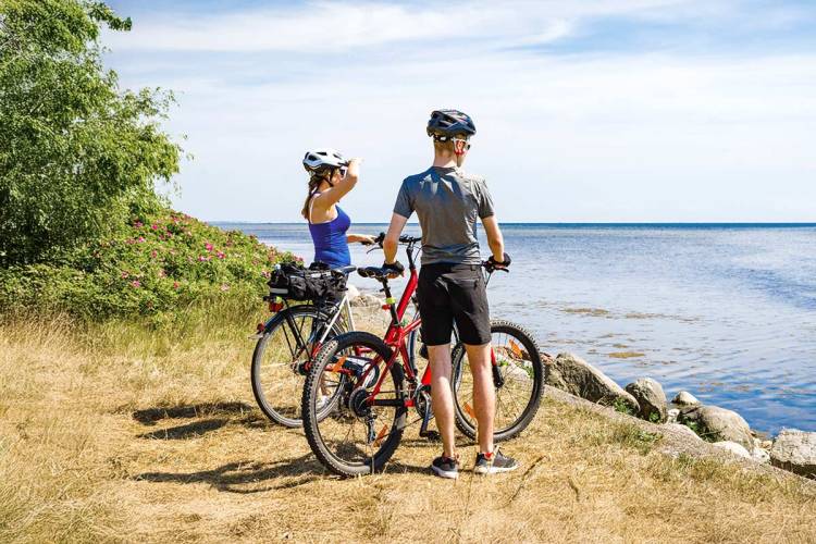 A cycling couple enjoys their break at a scenic viewpoint overlooking the sea.