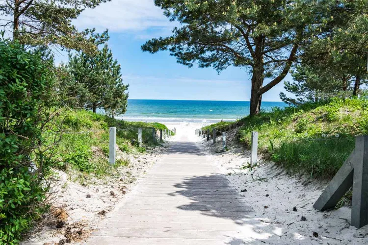 A wooden path leads to the quiet sandy beach on the Baltic Sea and heavenly blue water, lined with trees and green space.