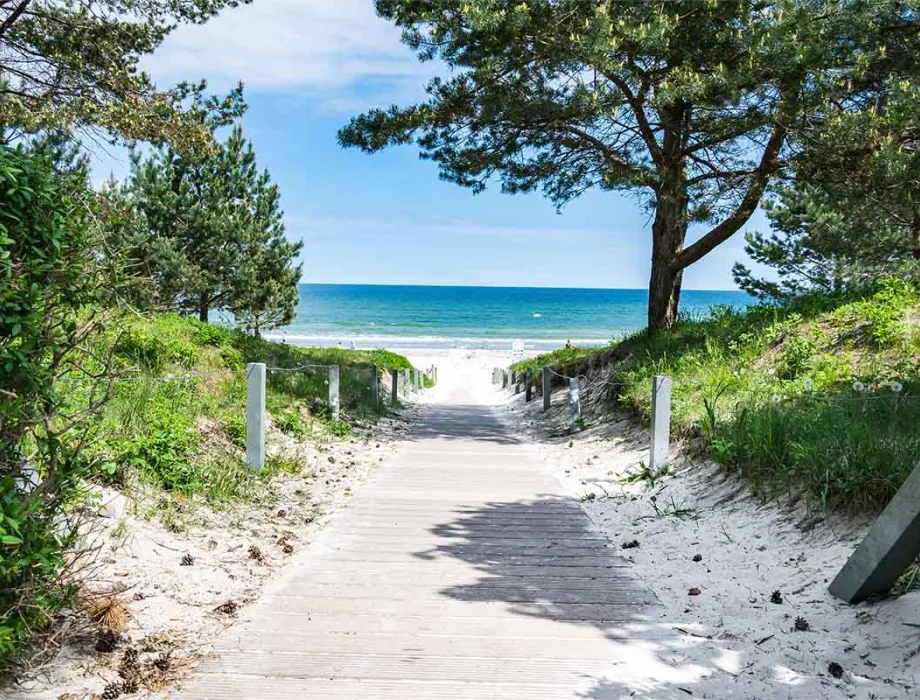 A wooden path leads to the quiet sandy beach on the Baltic Sea and heavenly blue water, lined with trees and green space.